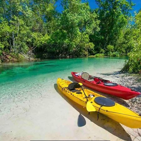 Manatee Oasis Weeki Wachee Family Fun Pool Home Spring Hill Esterno foto