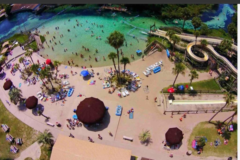 Manatee Oasis Weeki Wachee Family Fun Pool Home Spring Hill Esterno foto