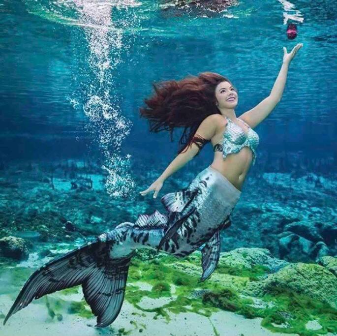 Manatee Oasis Weeki Wachee Family Fun Pool Home Spring Hill Esterno foto