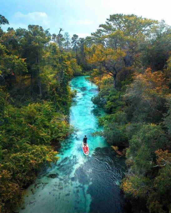Manatee Oasis Weeki Wachee Family Fun Pool Home Spring Hill Esterno foto