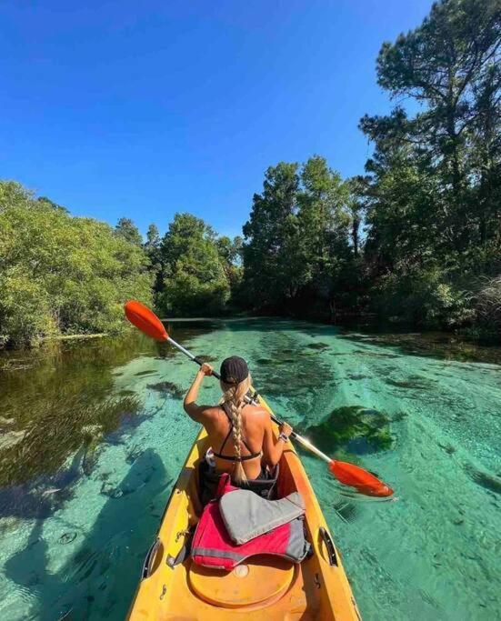 Manatee Oasis Weeki Wachee Family Fun Pool Home Spring Hill Esterno foto